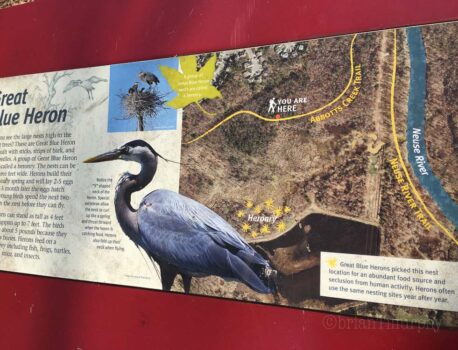 Abbott’s Creek/Neuse River Greenway