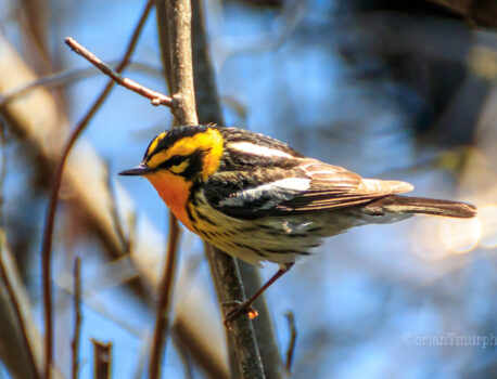 Echo Lake, Marquette, Michigan