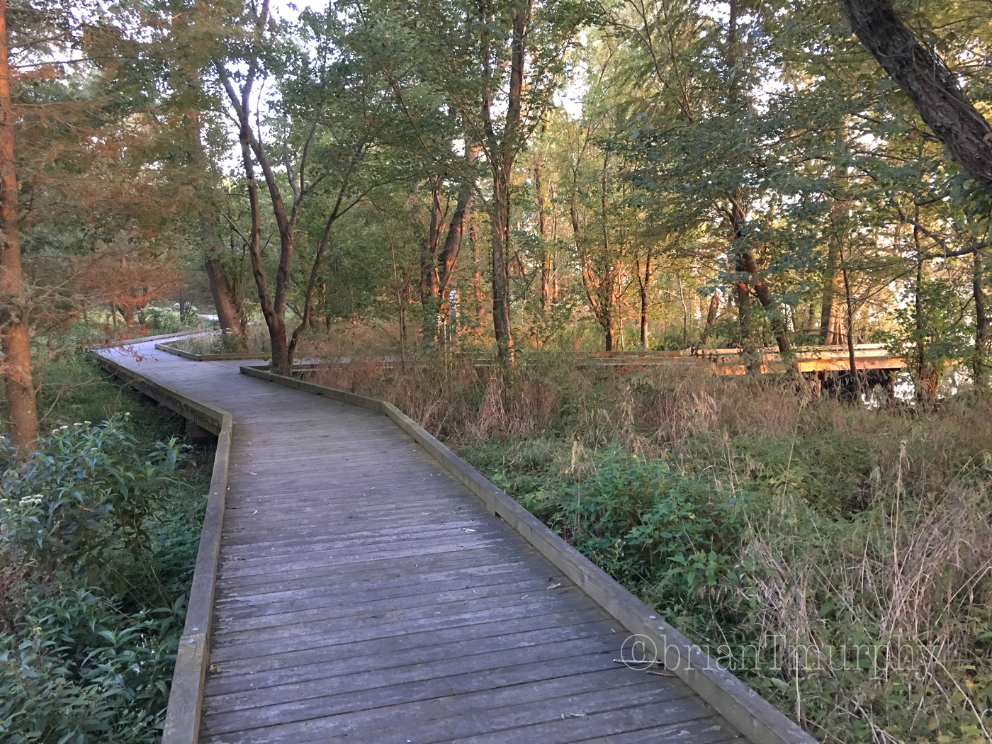 September on the NC/SC Coast (Oh, my Maria!)