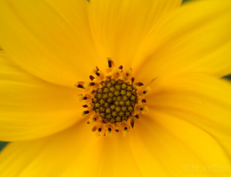 Quick visit to Lake Crabtree