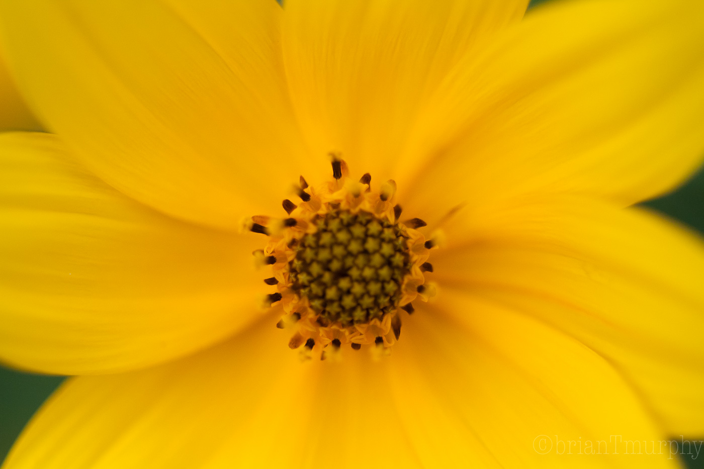 Quick visit to Lake Crabtree