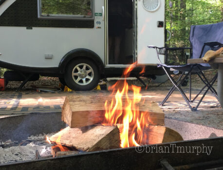 It’s a Swamp Thing