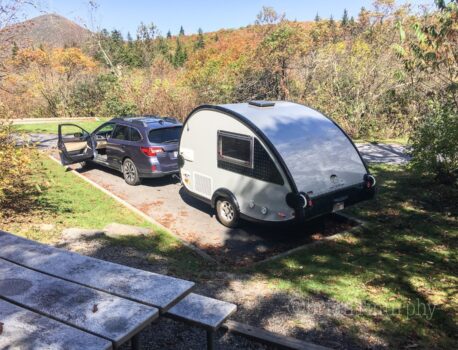 Puff the M@gic Dr@gon on the BRP