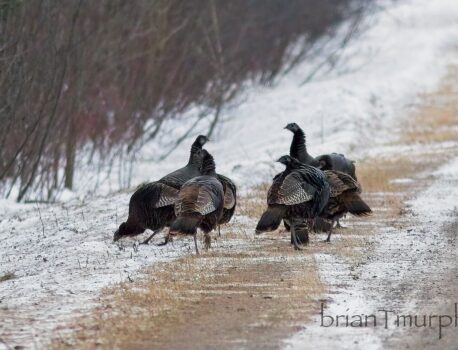 Exclusive Test Post, Rare Insights