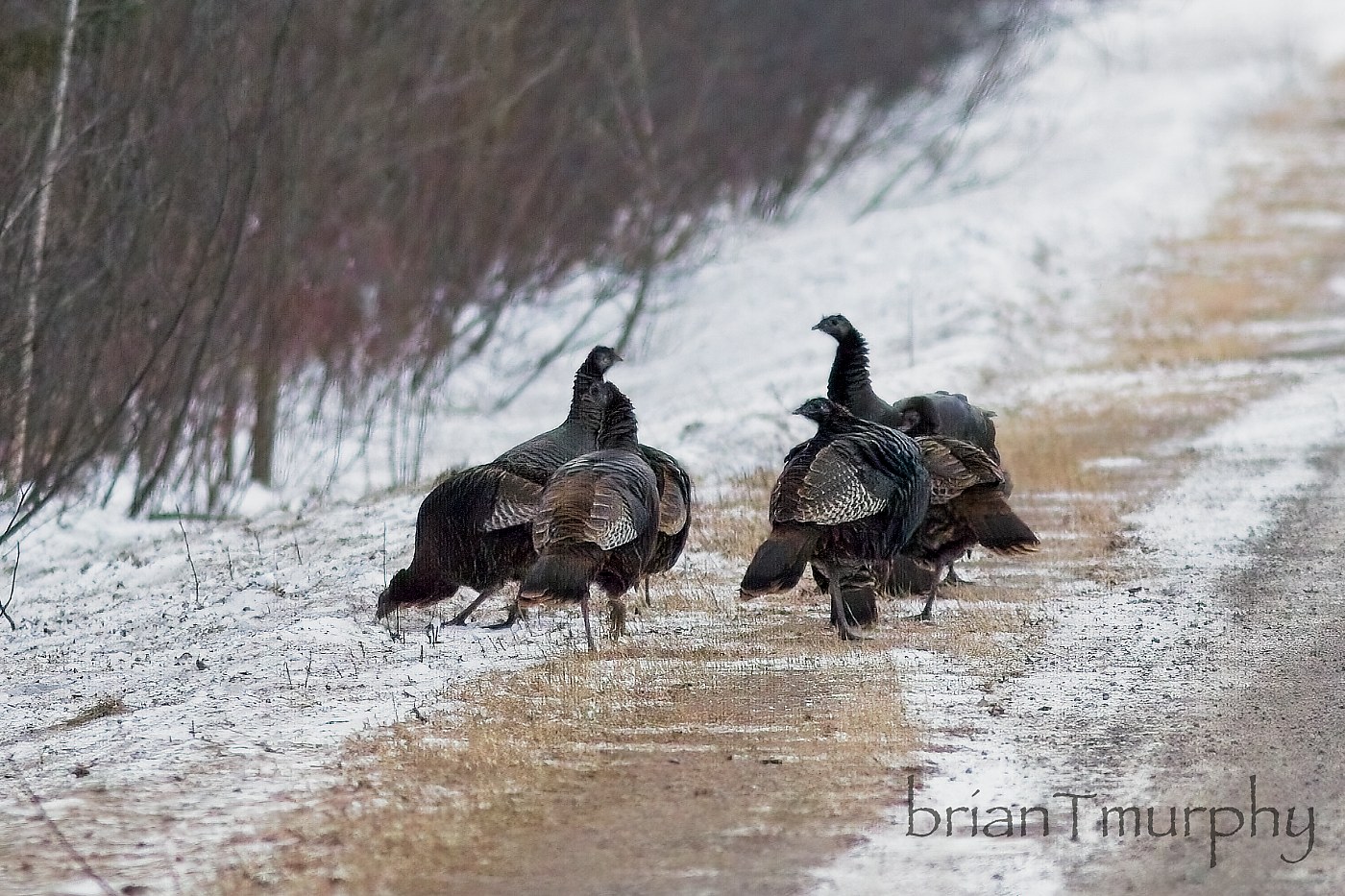 Exclusive Test Post, Rare Insights