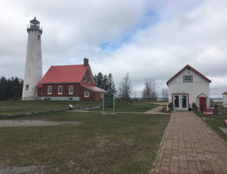 Week Two – Learning Upper Peninsula Birds