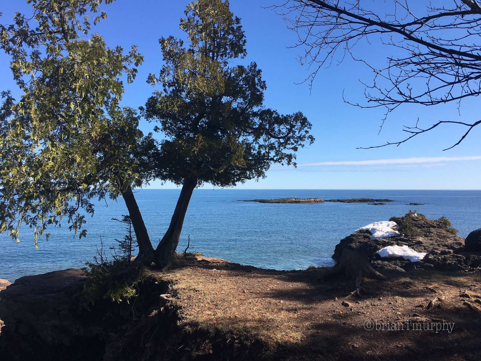 Birding Marquette – The First Week