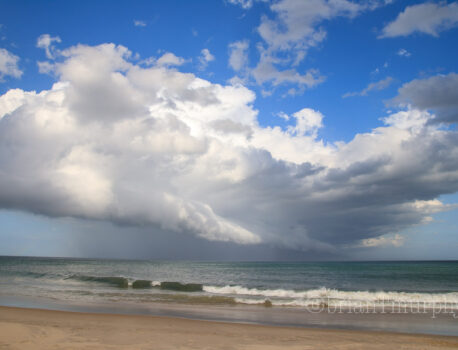Northeast North Carolina Coast in Late February