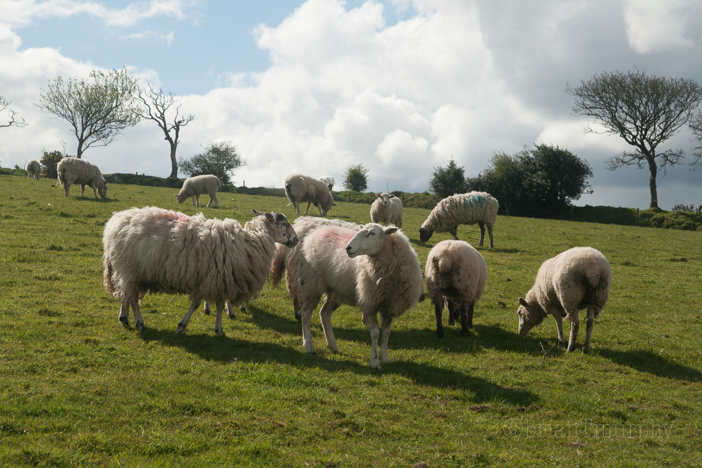 England 2016 – Hiking Dartmoor